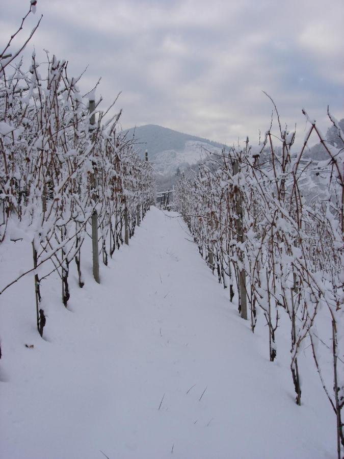 B&B San Valentino Giovo Bagian luar foto